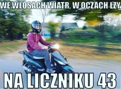 poszukujekota - #heheszki #humorobrazkowy