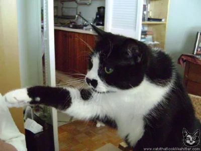 s.....o - @nikto: Heil Kitler