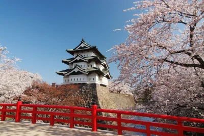 vhapten - Japonia- zamek Hirosaki i kwitnące wiśnie.

#japonia #przyroda #ciekawost...