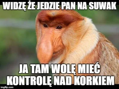 N.....1 - Za każdym suwakiem

#polak #polskiedrogi #pewniebyloaledobre