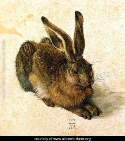 energetyk2 - @Kolczasta: 
Moja galeria http://www.albrecht-durer.org/home-1-96-1-0.h...