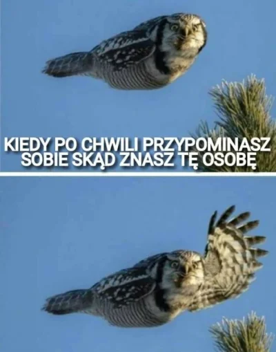 Zdejm_Kapelusz - #humorobrazkowy