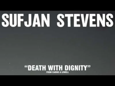 Ethellon - Sufjan Stevens - Death With Dignity
SPOILER
#muzyka #sufjanstevens #ethell...