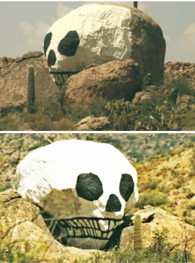 Pilotuje_pszczole - pomusz chronić dzikie pandy z arizonu
#gownowpis #tumblrshit