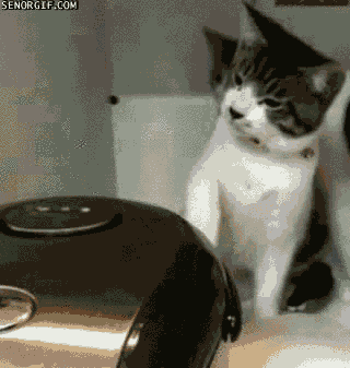 pierdze - #kotki #smiesznekotki #kotel #gif #koty 
jeśli nie chcesz przegapić następ...