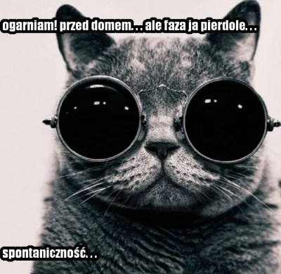 pestis - [ #kot #koty #heheszki #humorobrazkowy #spontanicznosc #ogarniam #alefaza ]