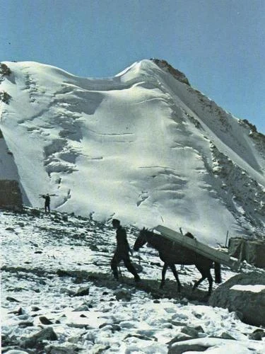 Mleko_O - #iiwojnaswiatowawkolorze

Naprzód, przez Elbrus - ku Azji! Niemieccy strz...