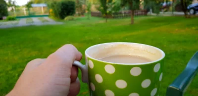 v.....k - O jak ja lubię tak rano kawusie na ogródku wypić (ʘ‿ʘ)

Miłego dnia wykopki...