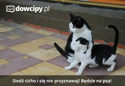 marhew-111- - #humorobrazkowy #koty #smiesznykotek #smiesznypiesek #humor