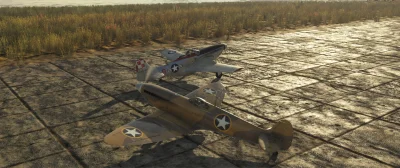 Redu - @Panczenisci: @gumpabobi: Ja w War Thunderze raz latałem P-51D30 razem z gości...