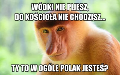 bordozielonka - #heheszki #humorobrazkowy #bekazkatoli 
#polak