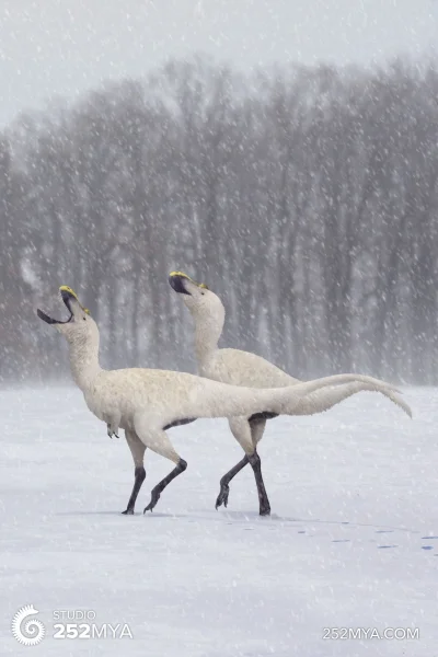 Tiszka - Uroczy obrazek gorgozaurów zimą ;)

Rys. Julio Lacerta

#paleontologia #...