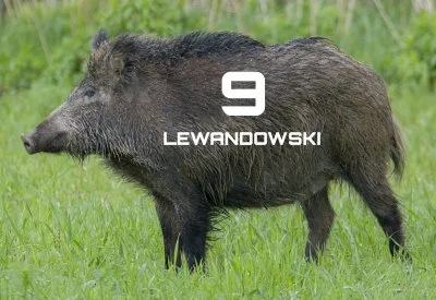 Pshemeck - #lewandowski #bundesliga #mecz