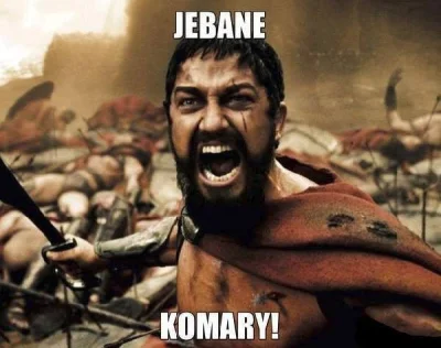 J.....1 - Mnie też już gryzą.. :(

#komaryatakujo #thisissparta #smieszne #humor