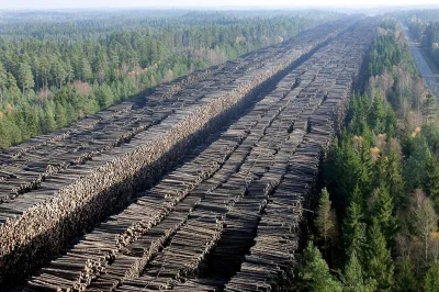 ryyyan - Sklad drewna gdzies w Szwecji 2005 rok #ciekawostki #historiajednejfotografi...