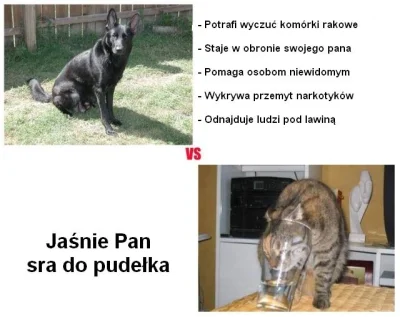 Yossarian82 - #koty vs #psy #humorobrazkowy