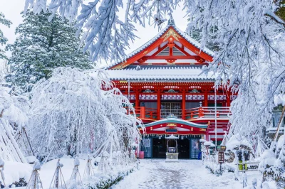 Zdejm_Kapelusz - Japońska świątynia zimą.

#fotografia #earthporn #japonia #azylbon...