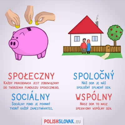 PolishSlovak - Te mylące słowa się chyba nigdy nam nie skończą... :D 


#slowacki ...