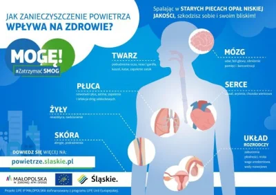 sobakan - Wykończył go smog ?