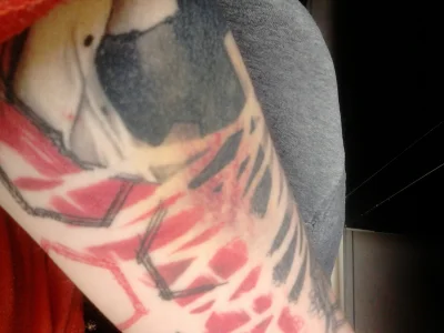 mamorupzdjencie - #tatuaze #gorzkiezale siniaki na tatuazach to ciota i #!$%@?, pasku...