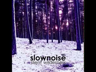 slash - Slownoise - Silent Wilderness

#muzykaelektroniczna #dubtechno #ambienttech...
