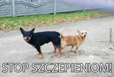 Ustrojstwo - #szczepienia #heheszki