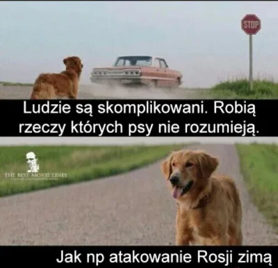 M.....G - #takaprawda #heheszki #humorobrazkowy #zwierzaczki