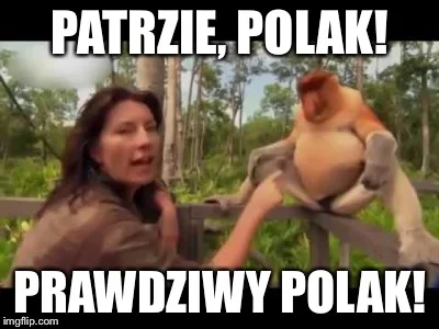 p.....j - @RzecznikWykopu: Chwalenie sie najkami za pare stów i mówienie o bogactwie ...