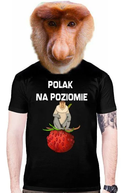 donadnrew - Ale fajna koszuleczka!
#nosaczsundajski #polak #januszex #polaknapoziomi...