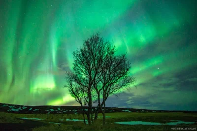 Nightscapes_pl - Od wczoraj szaleje burza magnetyczna, dzięki której można by było za...