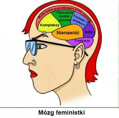 G.....k - Mózg takiej feministki.