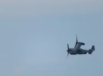 angrywaldeuszek - "Dron" z bazy lotnictwa morskiego w Babich Dołach
#babiedoly #plaz...