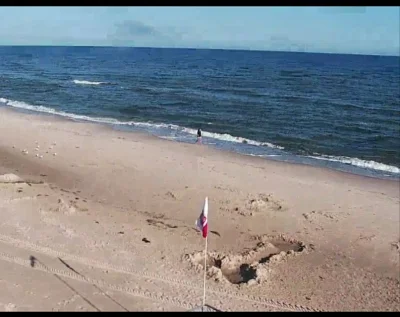 tomala92 - Przeglądam kamerki nad morzem a tu niespodzianka
#baltyk #morze #wakacje #...