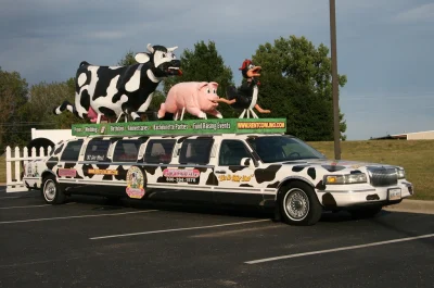 sciana - Krowa rasy limousine powiadacie?
