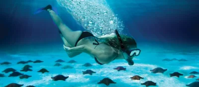 j.....n - #nurkowanie #nogi #ladnapani #rozgwiady #karaiby #meksyk