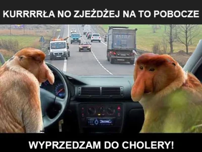 FruwajonceKrupnioki - #nosaczsundajski #nosacz #polak #heheszki #humorobrazkowy