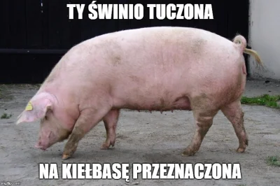 D.....t - ( ͡° ͜ʖ ͡°)
#humorobrazkowy #cenzoswinia #swinia