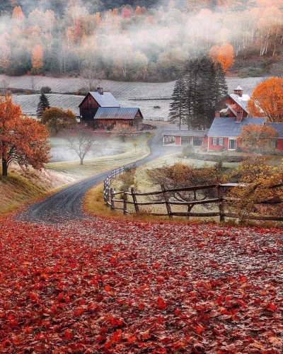 Castellano - Woodstock. Stany Zjednoczone 
foto: neohumanity
#fotografia #azylboner...