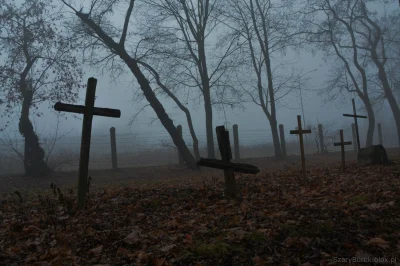 nightmeen - Cmentarz garnizonowy w Twierdzy Modlin spowity mgłą. To był klimatyczny s...