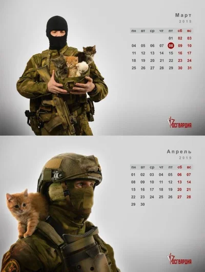 Sepp1991 - Klasyczny kot wojskowy ...
#koty #rosja #woj