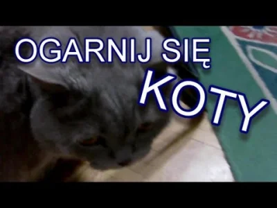 marekrz - Dem grubasie, kiedy nowe odcinki "Ogarnij się"?
#dem #koty #kiedystobylo