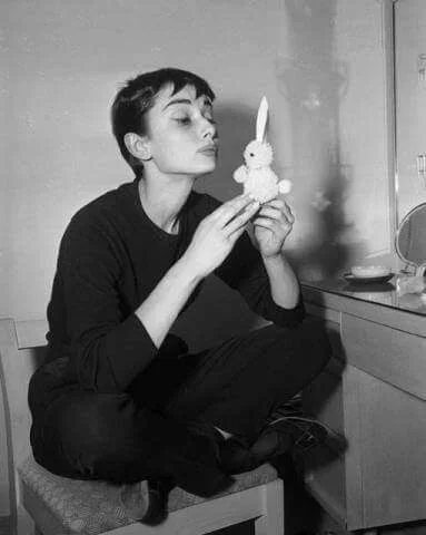 Micrurusfulvius - Audrey Hepburn
#audreyhepburn
#fotohistoria
#fotografia