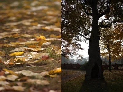 matemaciek - Wrzuciłem zdjęcia z kilku ostatnich #photoday'ów, między innymi jesienny...