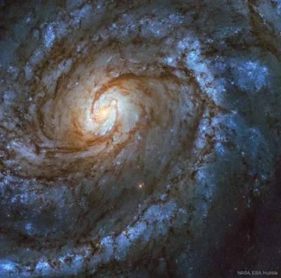 myrmekochoria - Na koniec zbliżenie na galaktykę Messier 100. Galaktyka znajduje się ...