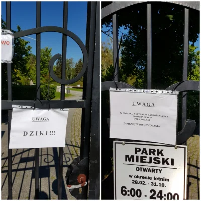 pogop - Tymczasem Pilski Park jest zamknięty do odwołania z uwagi na obecność w nim l...