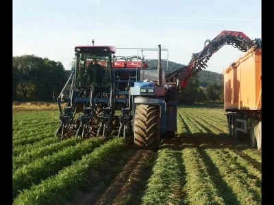 geuze - > Ale równie dobrze może mieć koperek, pietruszkę marchew, fasole i kto ze st...