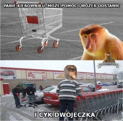 barteek2313 - #nosaczsundajski #nosacz #polak #humorobrazkowy #heheszki