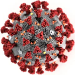 kirinasta - Wirus 2019-nCoV pierwsze cyfry posiada nieprzypadkowo. Oznaczają one rok,...