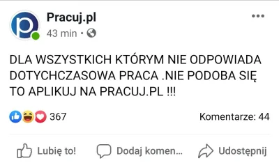 Qrier - @pieczarrra trend się rozszerza