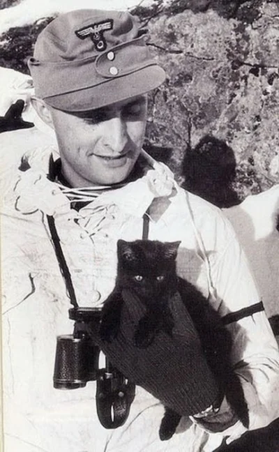 Sepp1991 - czarny kot na szczęście ...
#koty #ocieplaniewizerunkuadolfahitlera #hist...